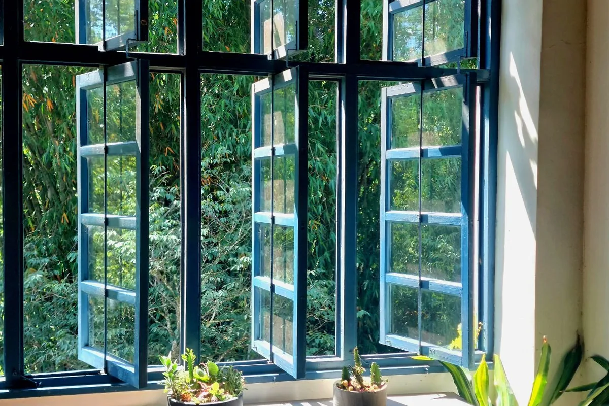 Open windows letting in fresh air and greenery, with potted plants on the sill